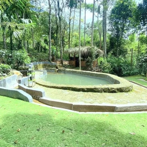 Natural Pool at Tearamb Holiday Bangalow in Ramboda